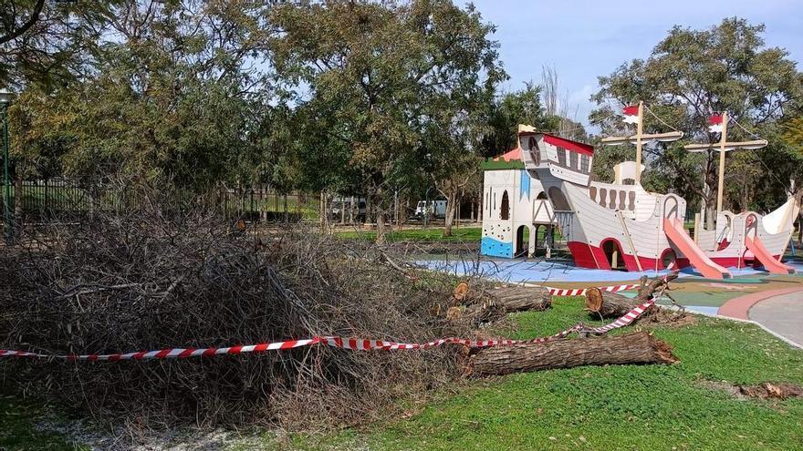 Los parques de Málaga, cerrados por el fuerte viento