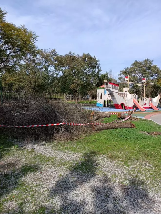 Los parques de Málaga, cerrados por el fuerte viento