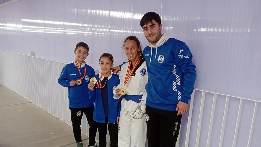 Tres jóvenes de Alzira logran el oro estatal de taekwondo