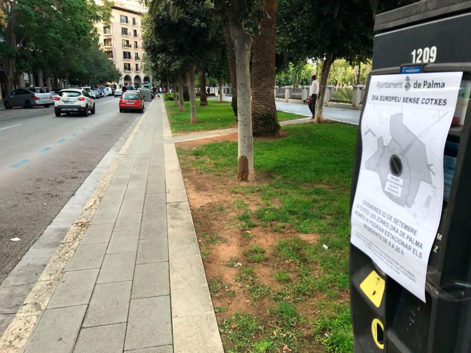 Palma celebra el Día Europeo sin Coches