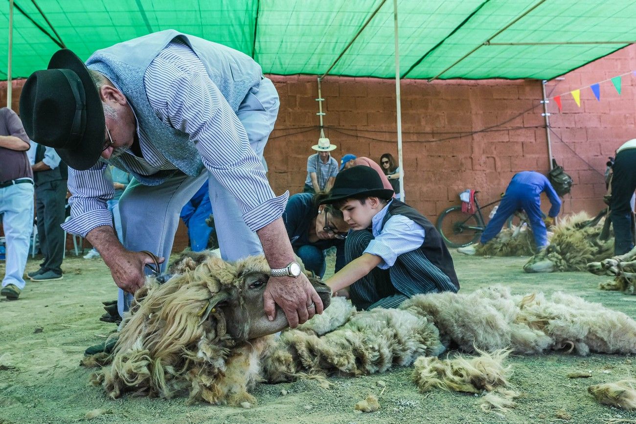 Miles de personas eligen Caideros y la Fiesta de la Lana para celebrar el Día de Canarias