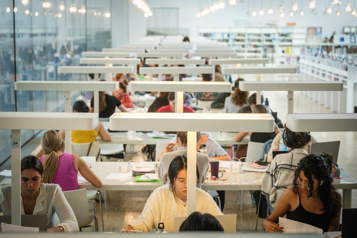La bibliteca municipal de Santa Cruz de Tenerife, en TEA Tenerife Espacio de las Artes.