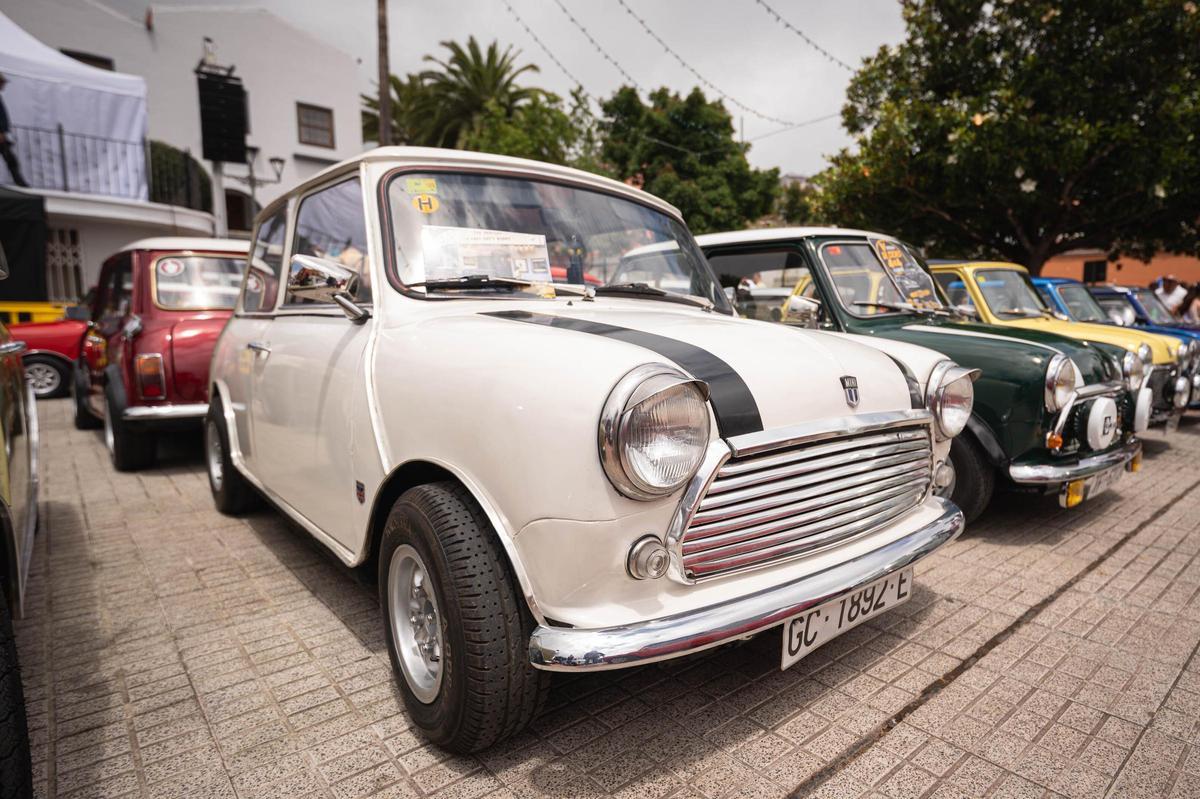 Exposición de Minis en El Rosario Exposición de Minis en El Rosario