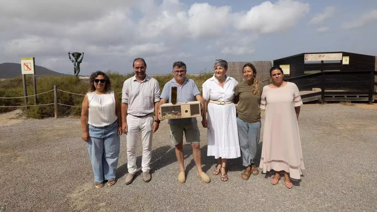 Drones e IA: la apuesta tecnológica para salvar a la lagartija de Ibiza