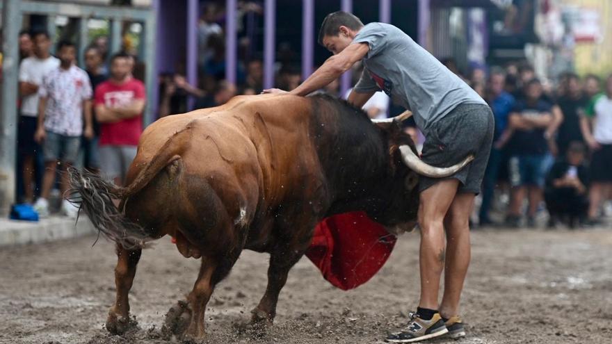 Las impactantes imágenes de la grave cogida en los &#039;bous al carrer&#039; de Vila-real