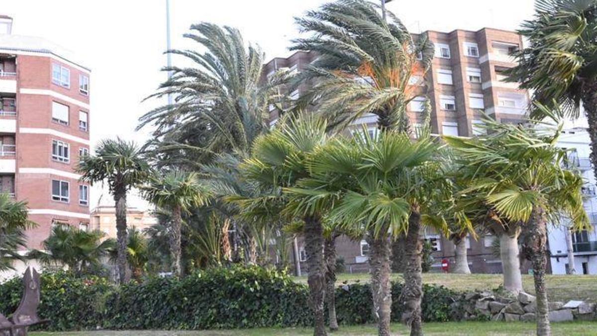 El viento interrumpe el paréntesis de tiempo primaveral en Castellón