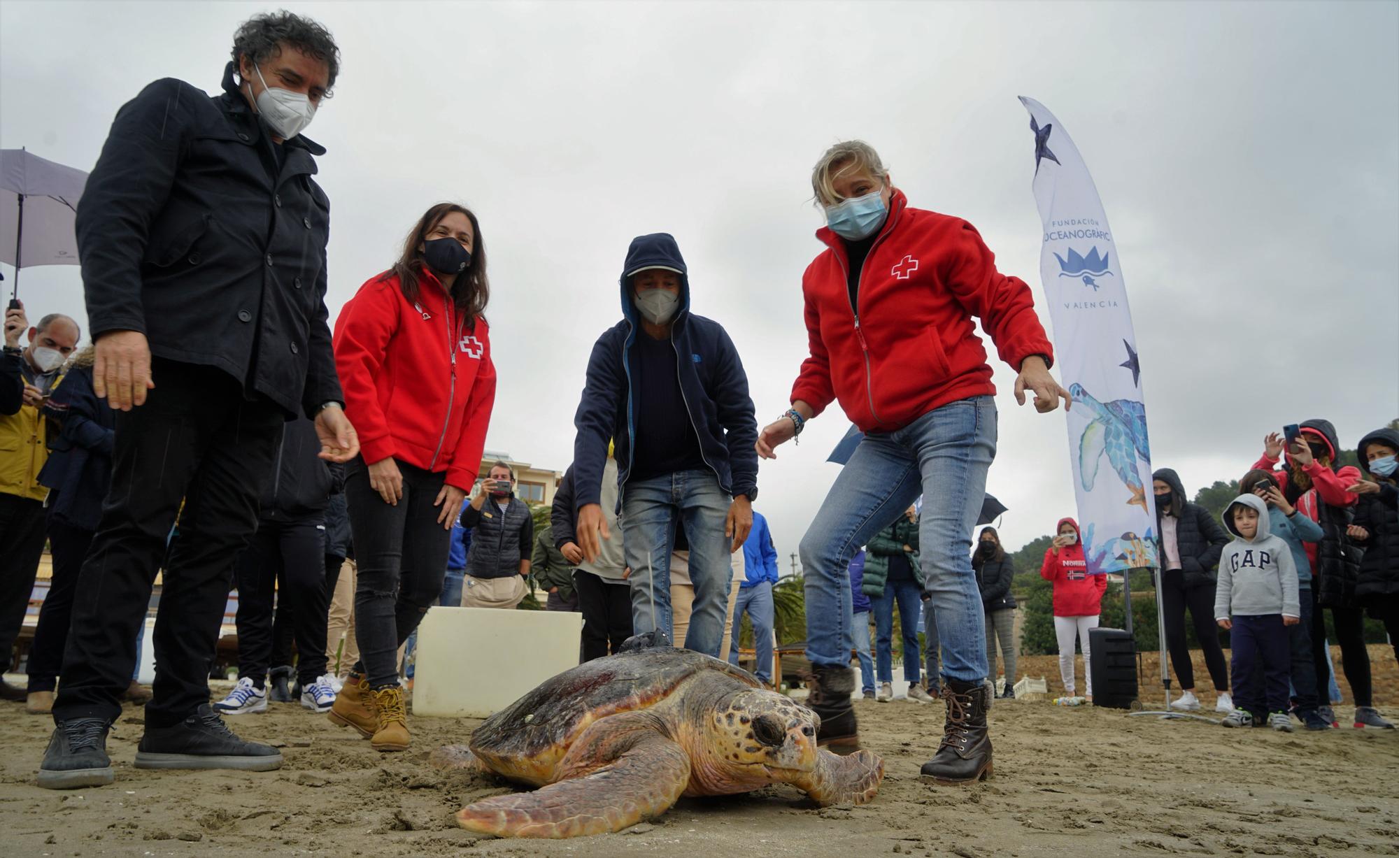 A punto de soltar al mar la tortuga 'Voramar'.JPG