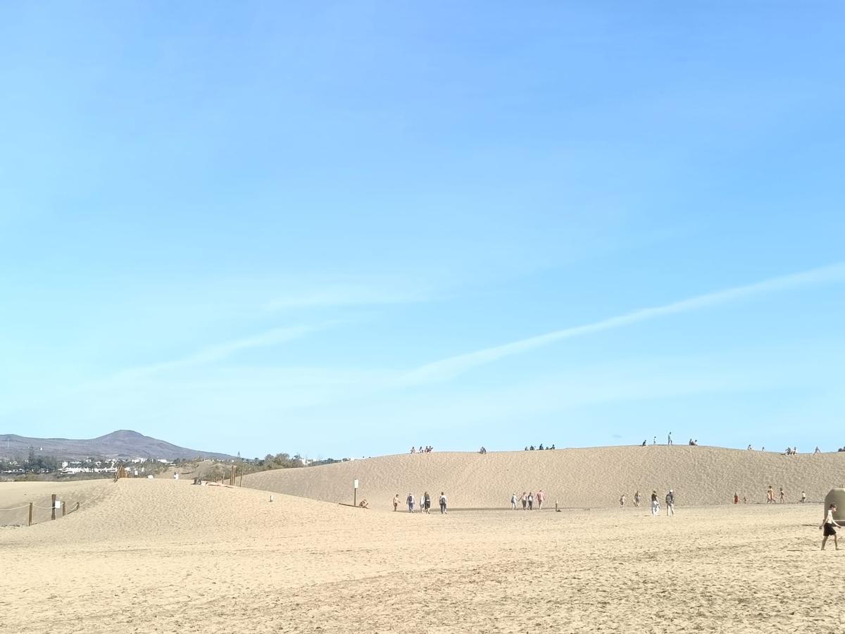 Jornada de este 31 de diciembre en las dunas de Maspalomas.