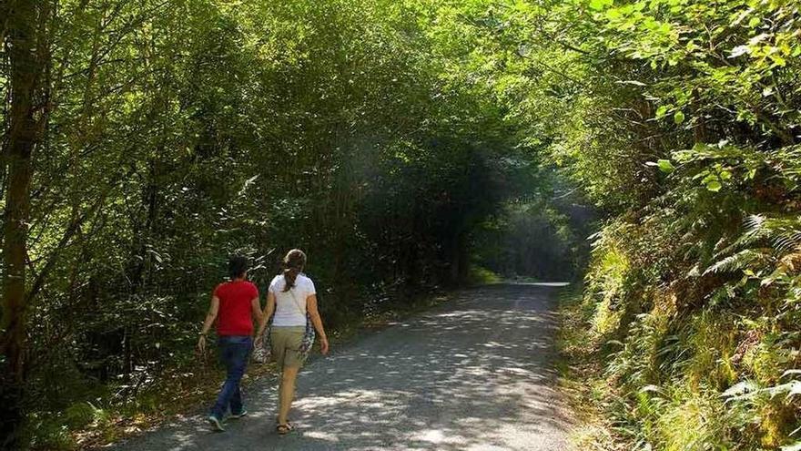 Dos jóvenes pasean por uno de los senderos de las Fragas do Eume.