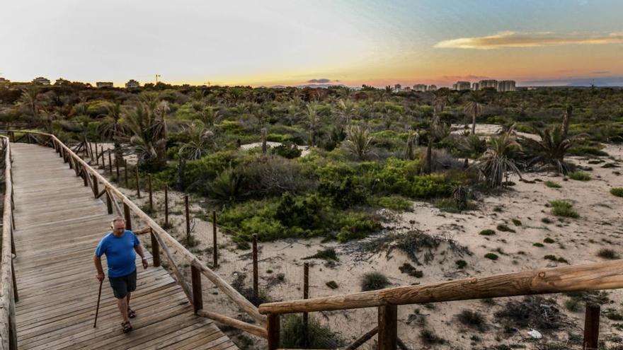 Las dunas de Guardamar son un paraíso natural