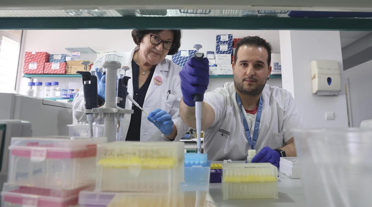 Los investigadores Gloria Peiró y Yoel G. Montoyo en el laboratorio de ISABIAL de Alicante