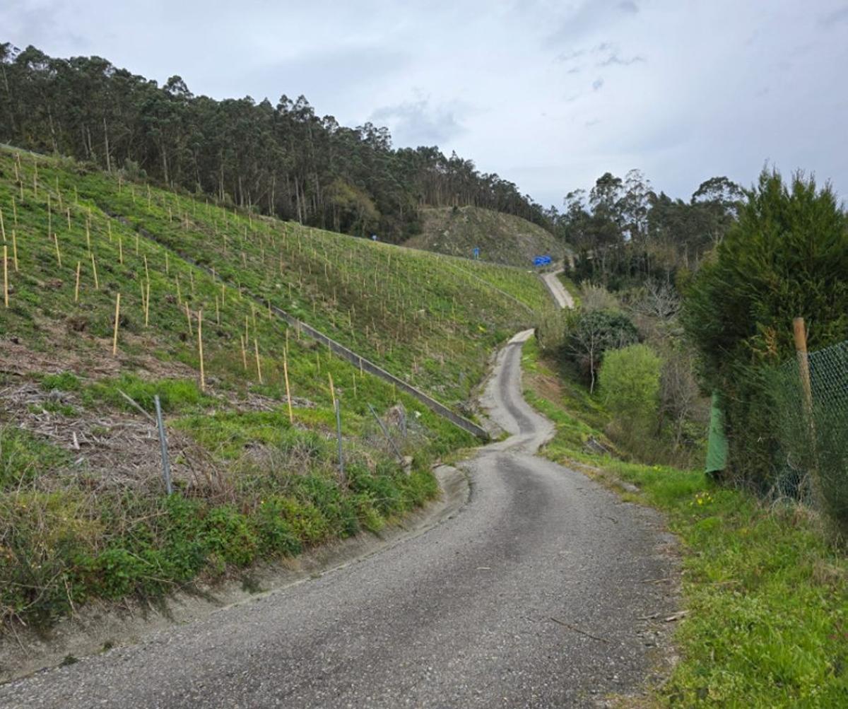 El talud antes del derrumbe y la finca afectada a la derecha. | FDV