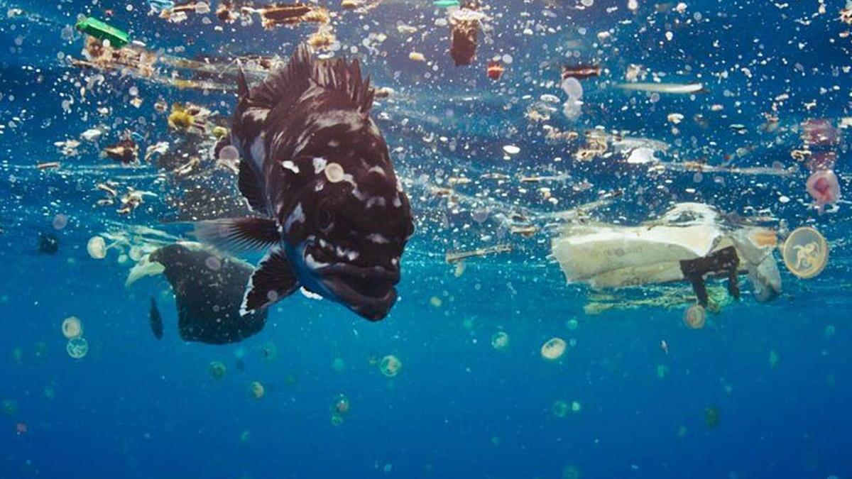 Contaminació de les aigües per acumulació de plàstics, en una fotografia d&#039;arxiu.