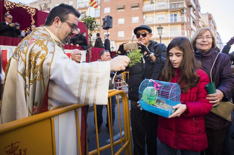 Bendición de animales por Sant Antoni del Porquet