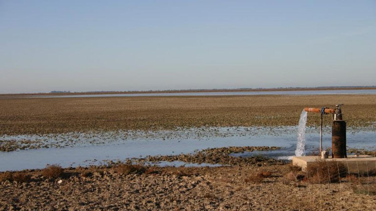 Pozo de agua en los humedales de Doñana (Huelva)