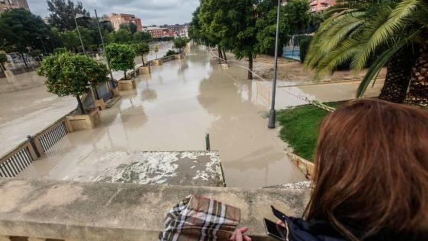 El río Segura se desbordó en varios puntos a su paso por el término de Orihuela.