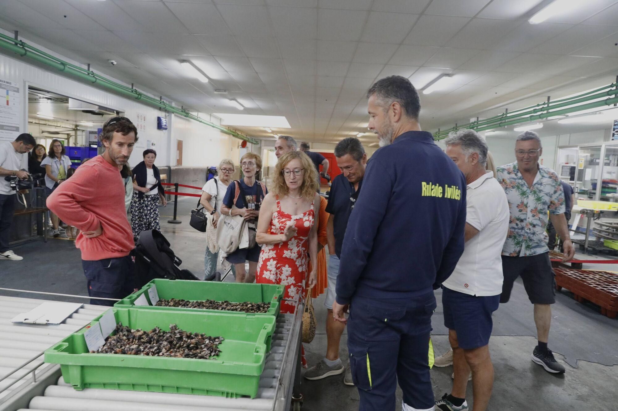 En imágenes: así fue la primera visita guiada a la rula de Avilés de la campaña veraniega