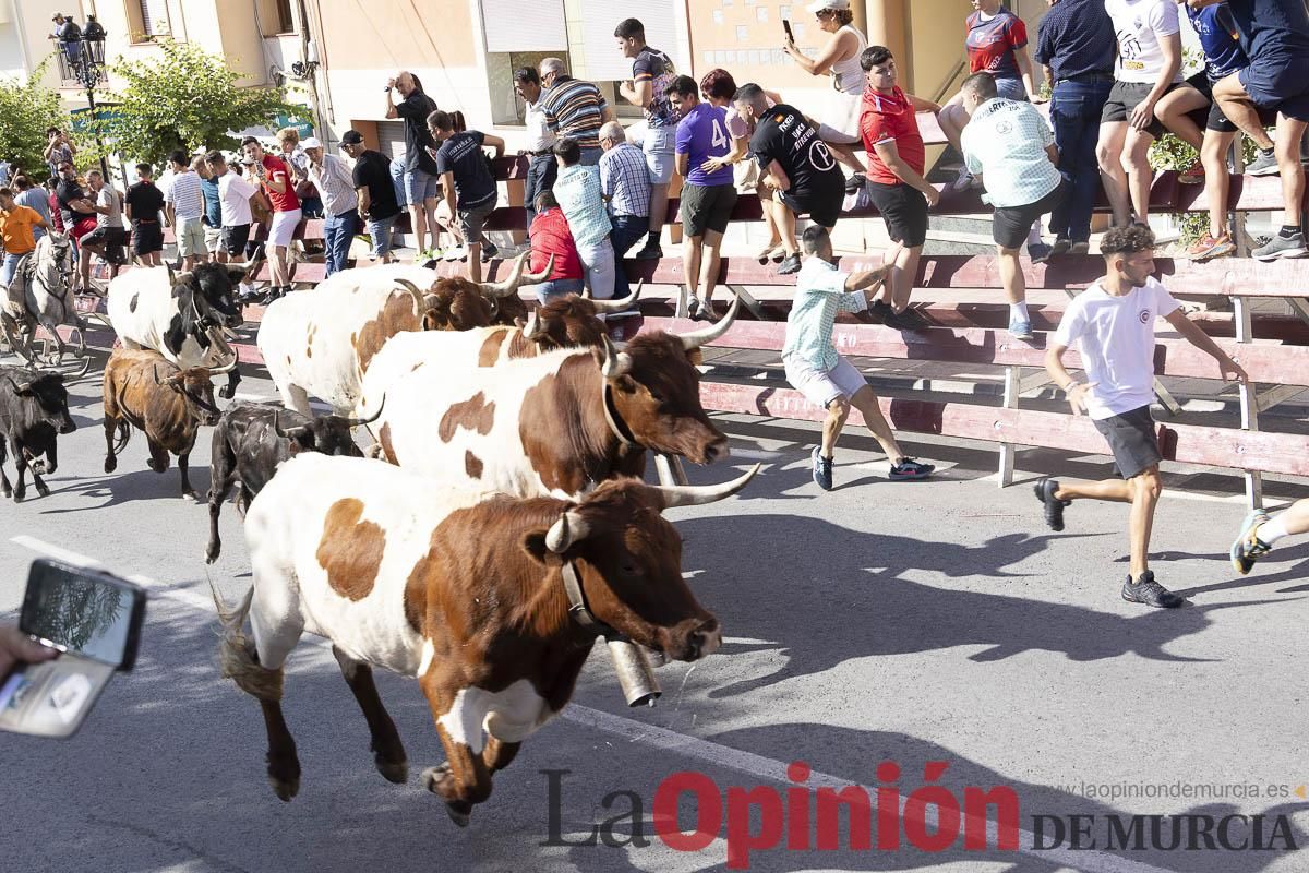 Séptimo encierro de las Fiestas de Moratalla