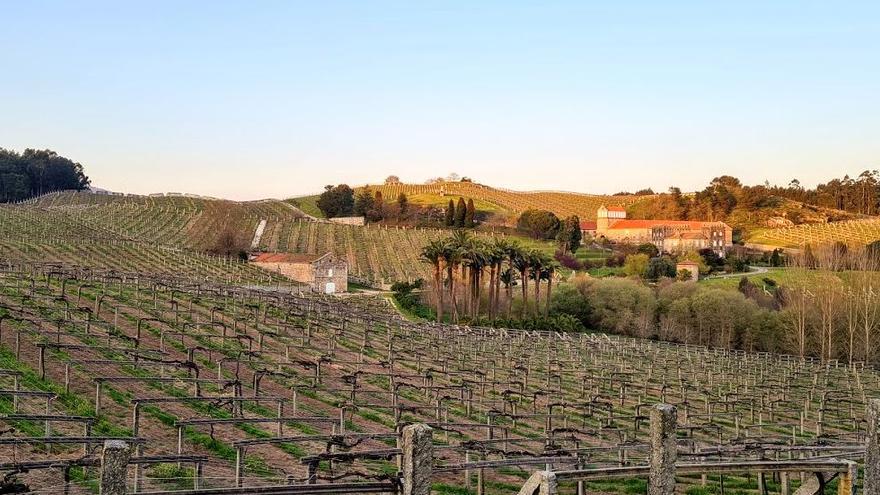 Una imagen actual de la bodega, sus viñedos y jardines.