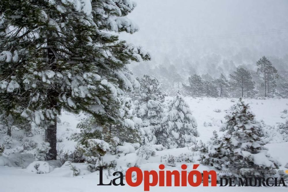 La nieve deja las primeras estampas blancas del 2020 en la Región de Murcia