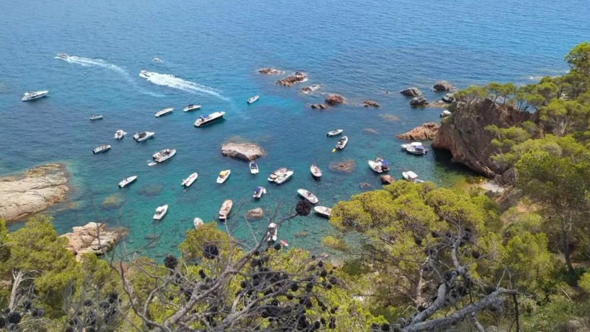 La cala del Vedell, plena d barques després que es robessin les boies