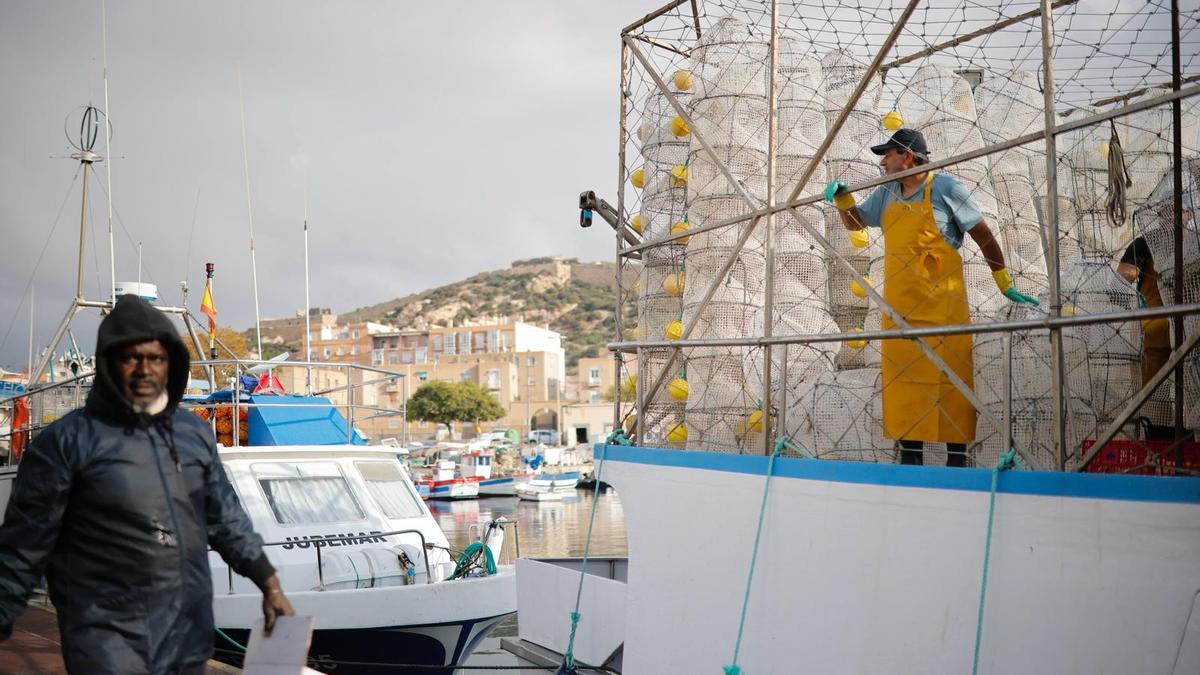 Un pescador este viernes en el puerto de Cartagena