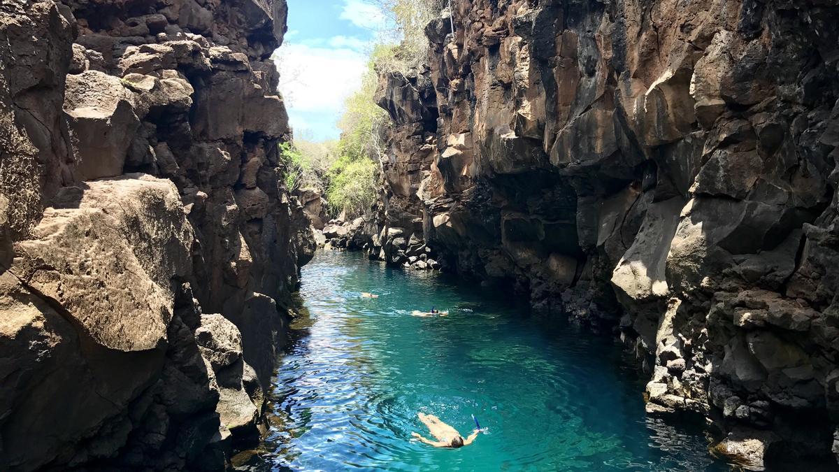 Hacer snorkel entre tortugas marinas, cormoranes y pingüinos, una experiencia que no te puedes perder en las Galápagos