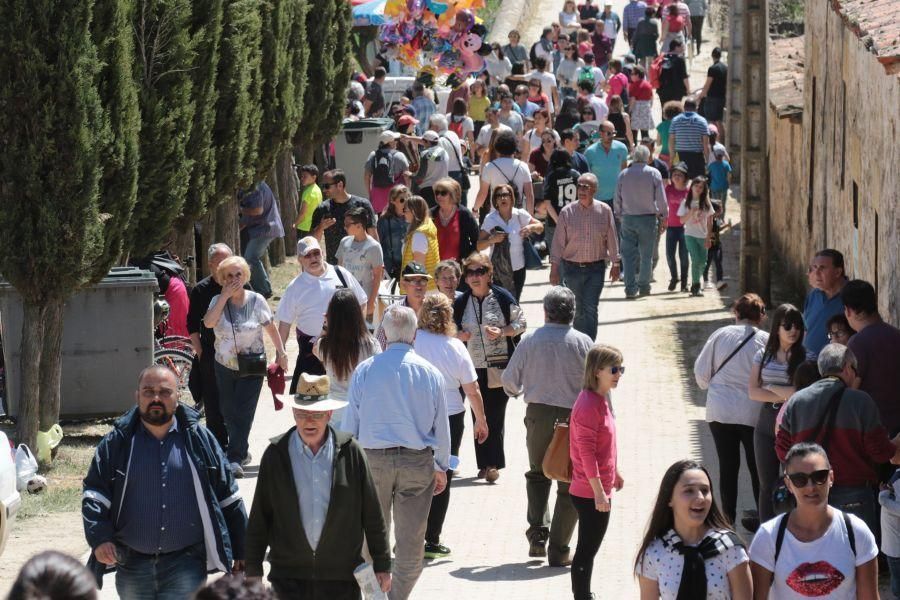 Romería de Valderrey en Zamora