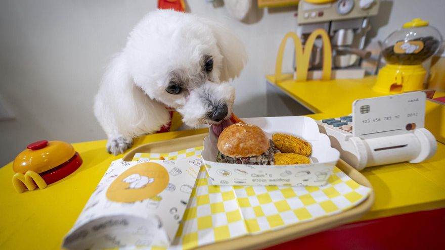 Esta cafetería de Barcelona ofrece Happy Meals para perros a lo McDonald’s