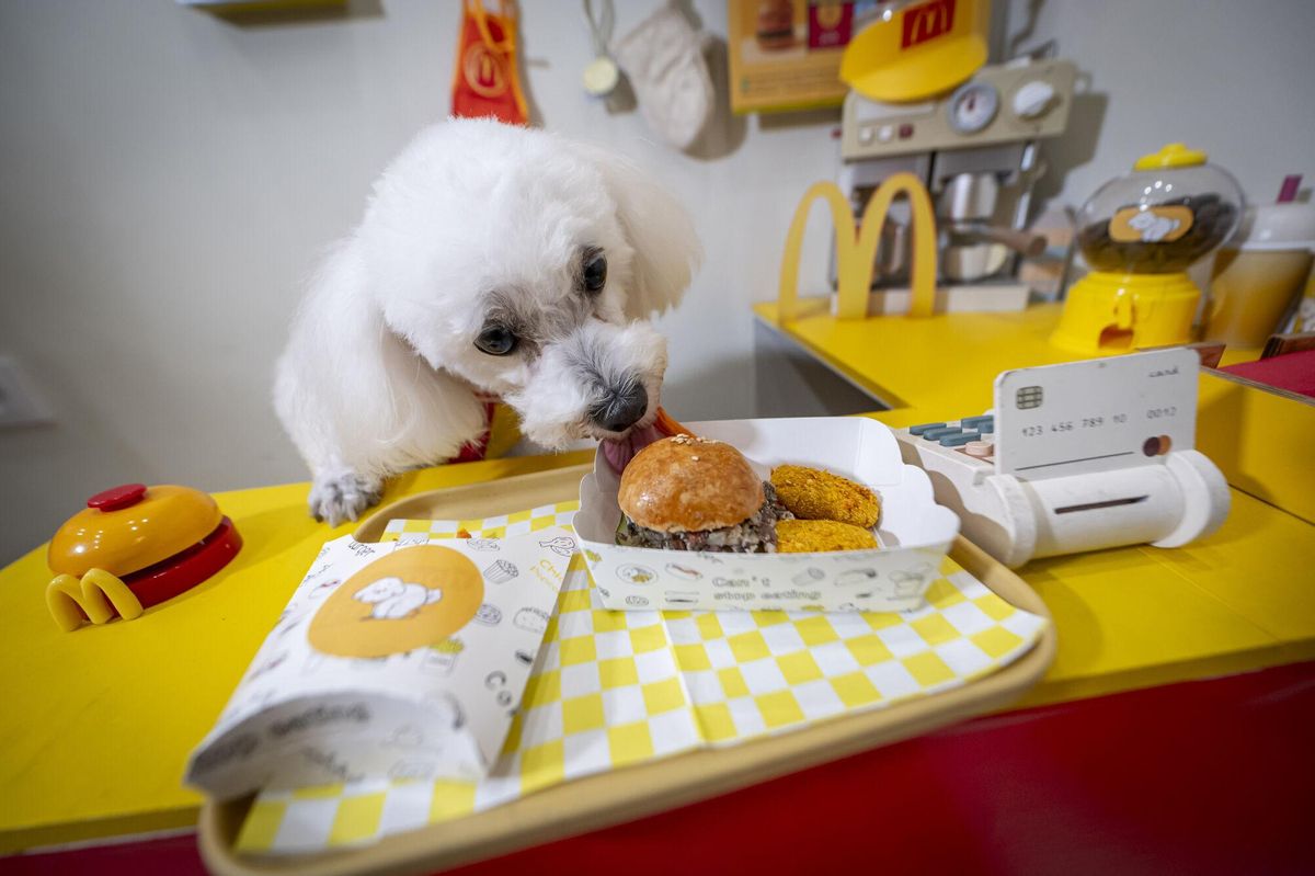 Aquesta cafeteria de Barcelona ofereix Happy Meals per a gossos a l’estil McDonald’s