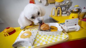 Aquesta cafeteria de Barcelona ofereix Happy Meals per a gossos a l’estil McDonald’s