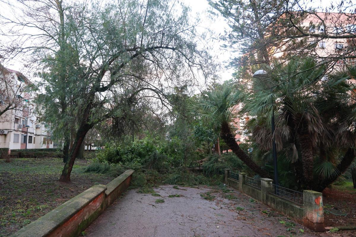 El drama de Médco Sorapán: la borrasca en Cáceres El drama de Médco Sorapán: la borrasca en Cáceres