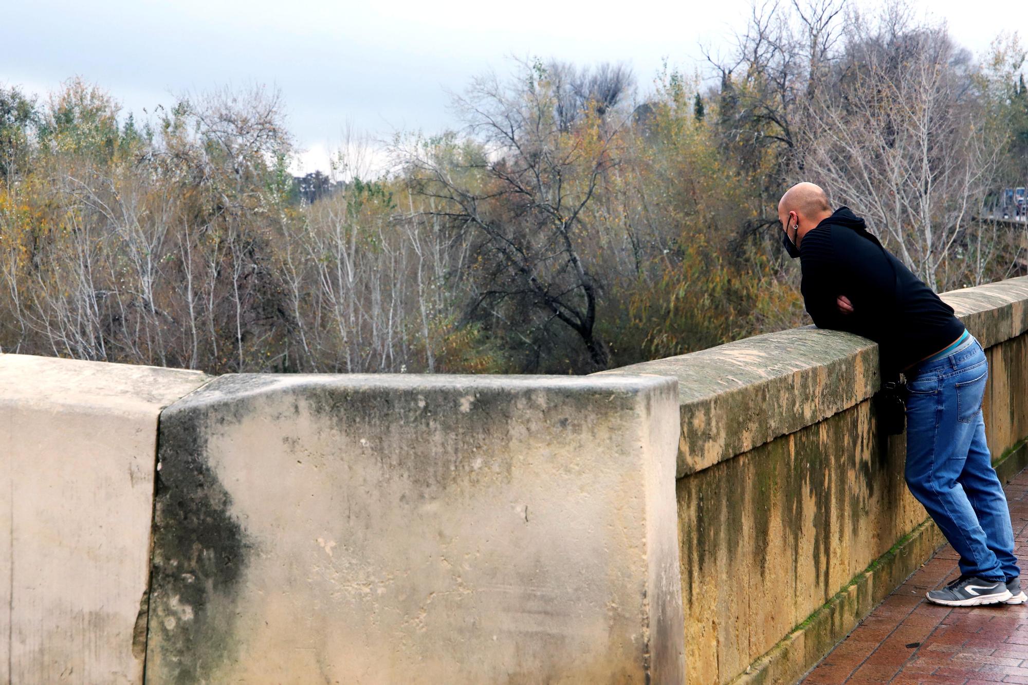 La vegetación no deja ver el río Guadalquivir