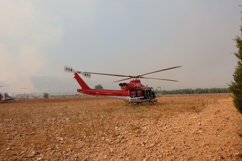 Declarado un incendio en una zona de barranco de Beneixama