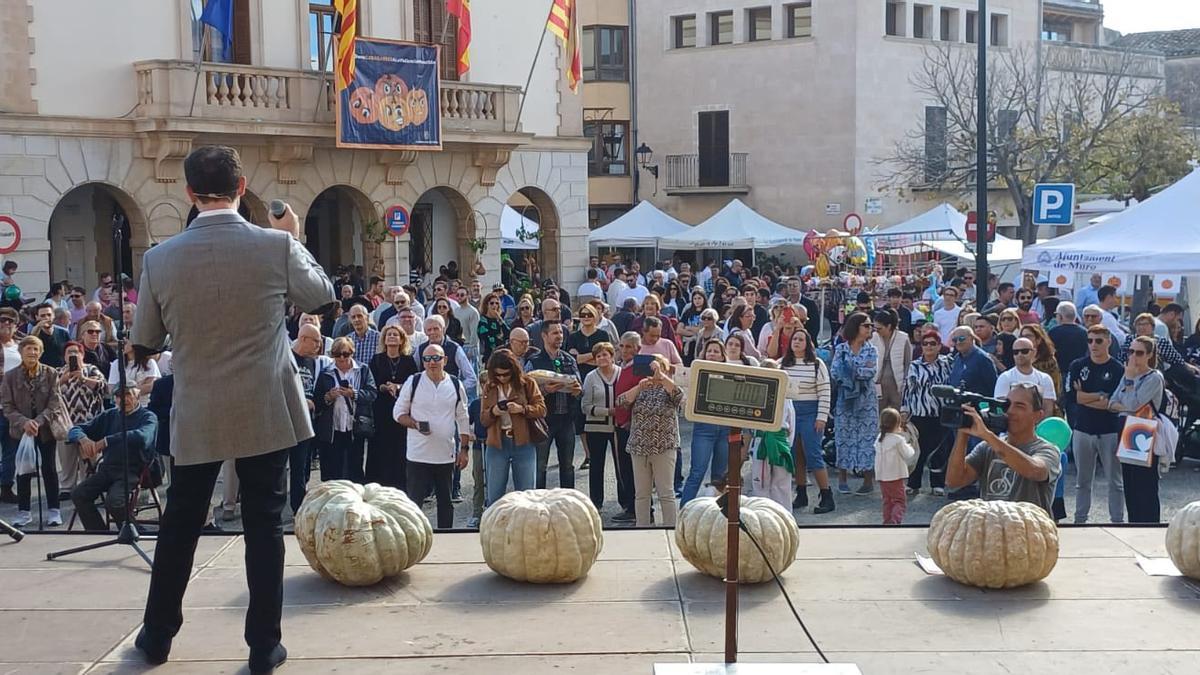 Una imagen del concurso de calabazas, con algunas de las piezas participantes.