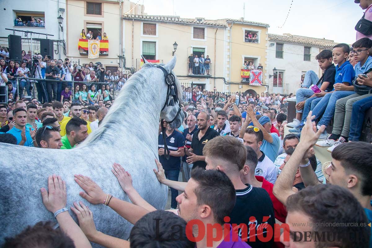 Entrega de premios del concurso morfológico de los Caballos del Vino de Caravaca