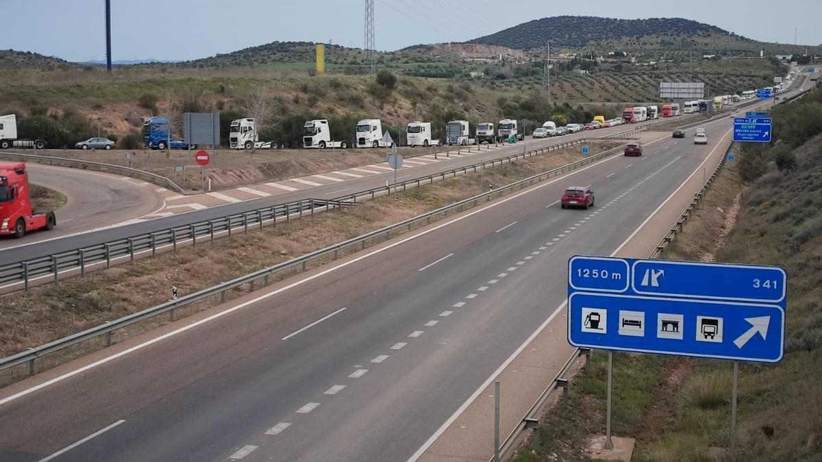 Fila de camiones esta mañana en la entrada del polígono industrial El Prado de Mérida.