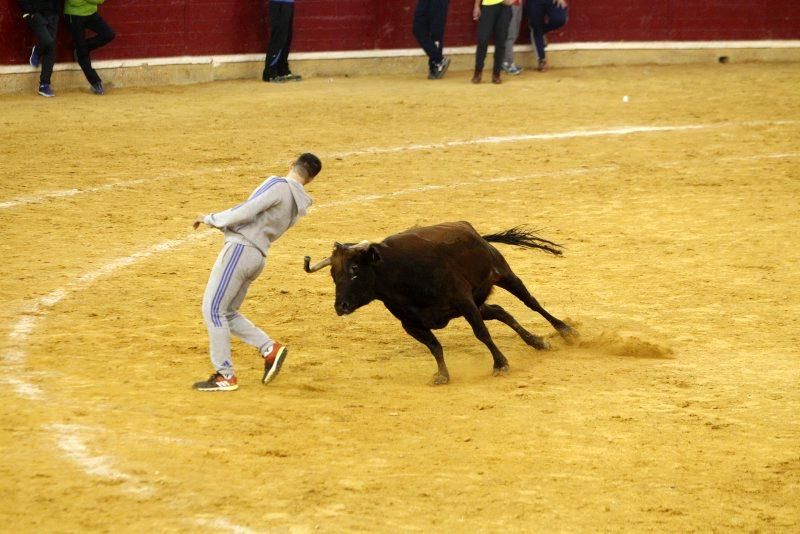 Vaquillas del 9 de octubre