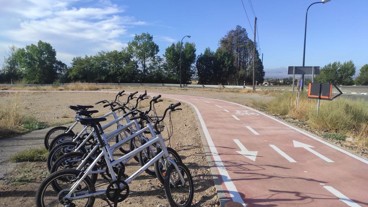 Parte del carril bici que une La Puebla de Alfindén con Malpica