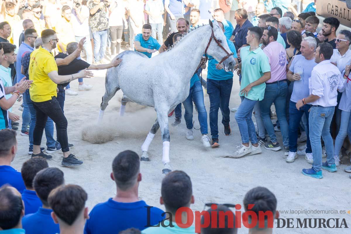 Entrada de caballos al Hoyo en las Fiestas de Caravaca