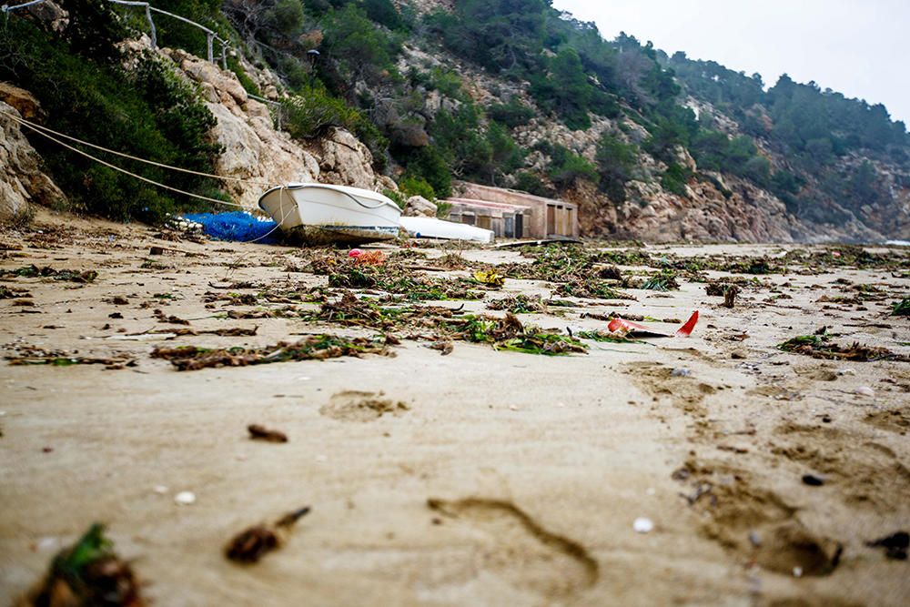 Dispositivo de búsqueda en la Cala Sant Vicent