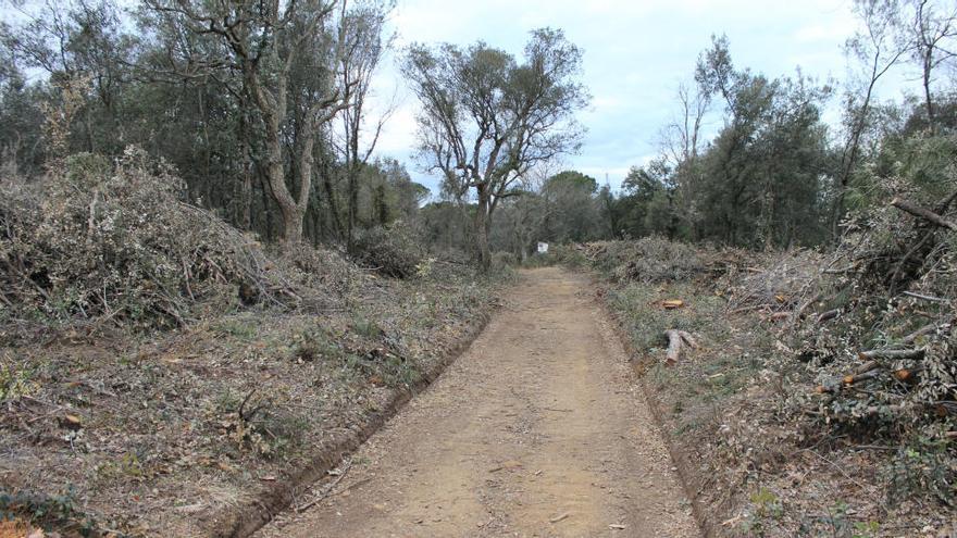 Talen dues hectàrees d&#039;alzines d&#039;un bosc de Quart sense tenir permís per fer-ho