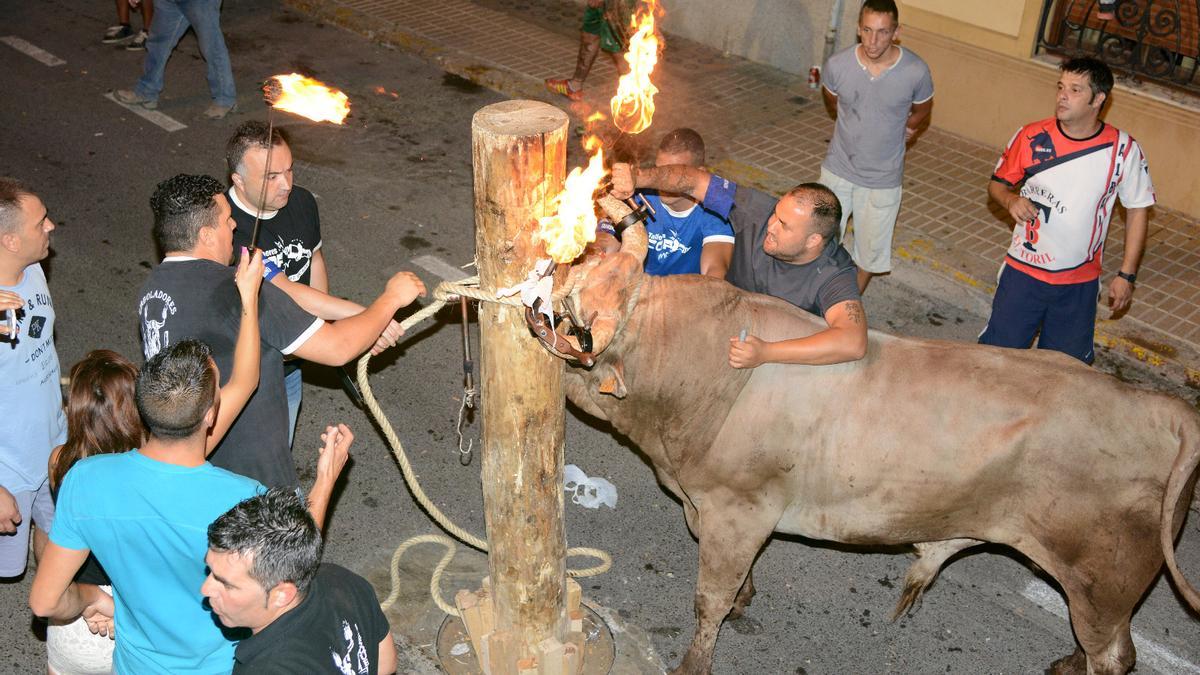 Paiporta volverá a celebrar bou embolat al no conseguir seguro ilimitado.