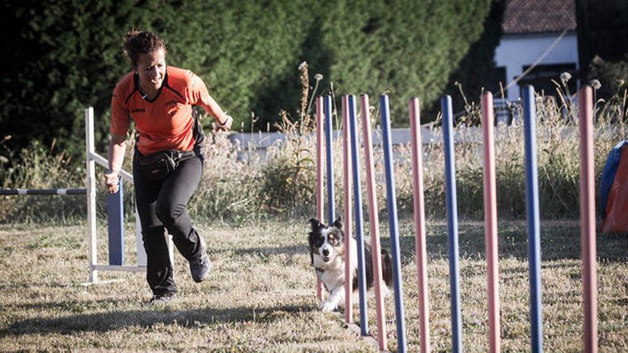 Exhibición de &#039;agility&#039; en una localidad gallega.