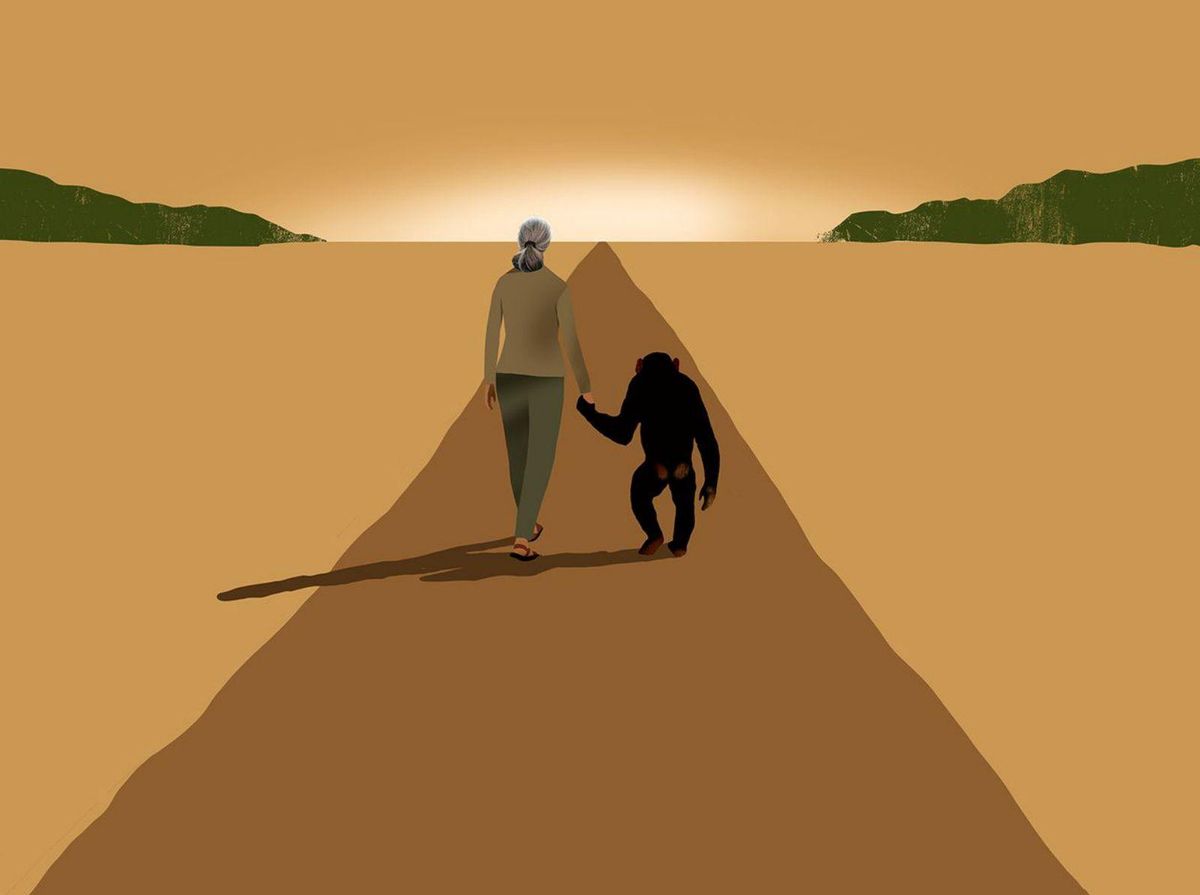 Jo primat... tu Jane (Goodall)