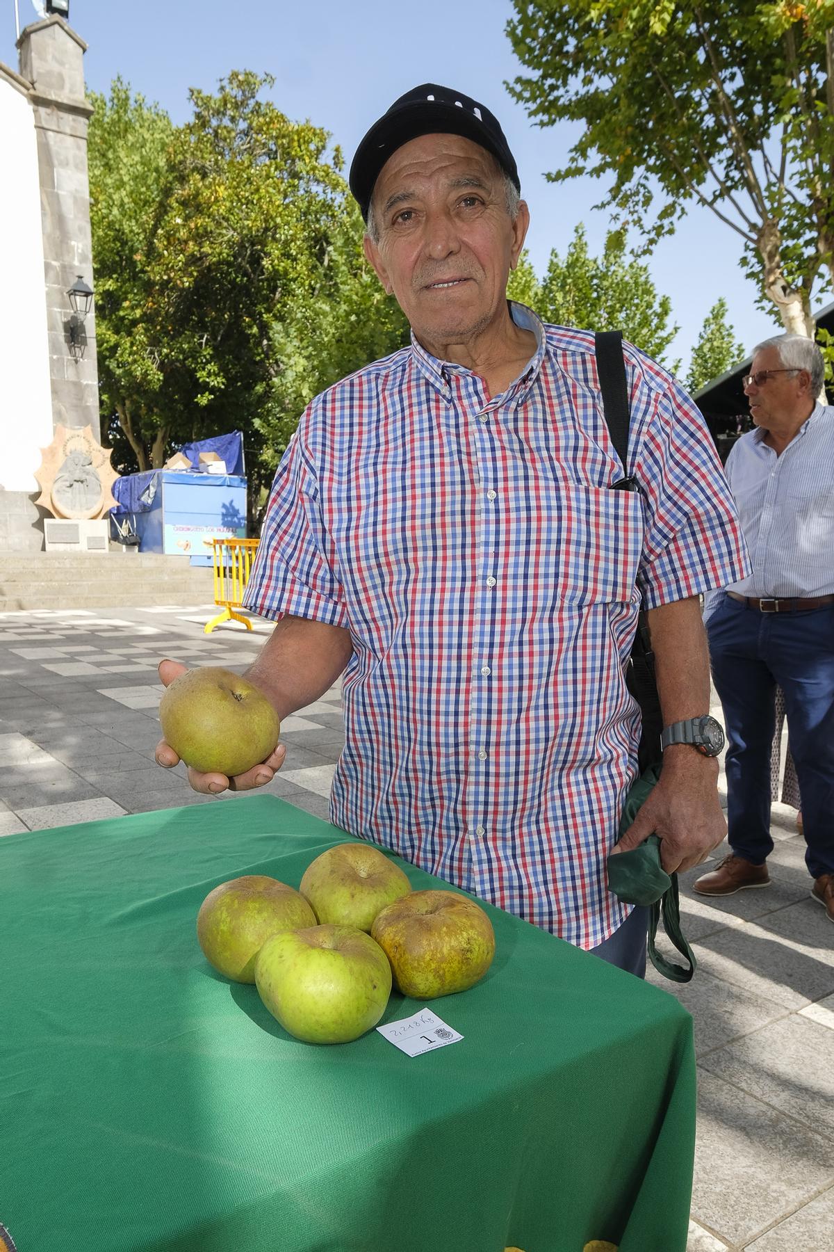 Fiesta de la manzana en Valleseco