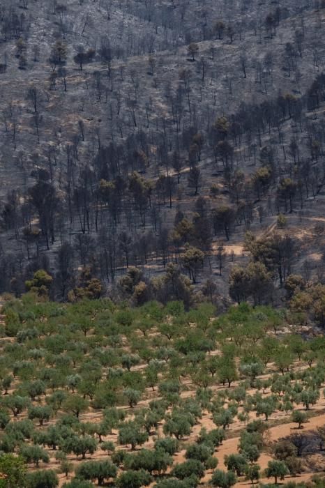 Así ha quedado la zona tras el incendio.