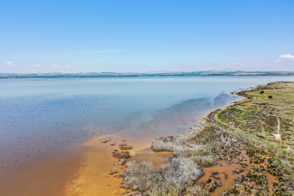 Las aguas de las salinas de Torrevieja perdieron el rosa en febrero. Normalmente es un cambio puntual. Pero este año a las puertas de verano siguen igual. Los episodios de lluvias torrenciales tienen