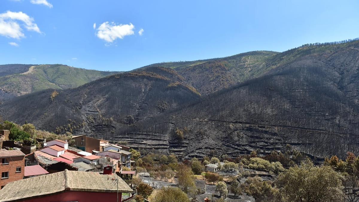 Estabilizado el incendio de Las Hurdes tras calcinar 4.200 hectáreas