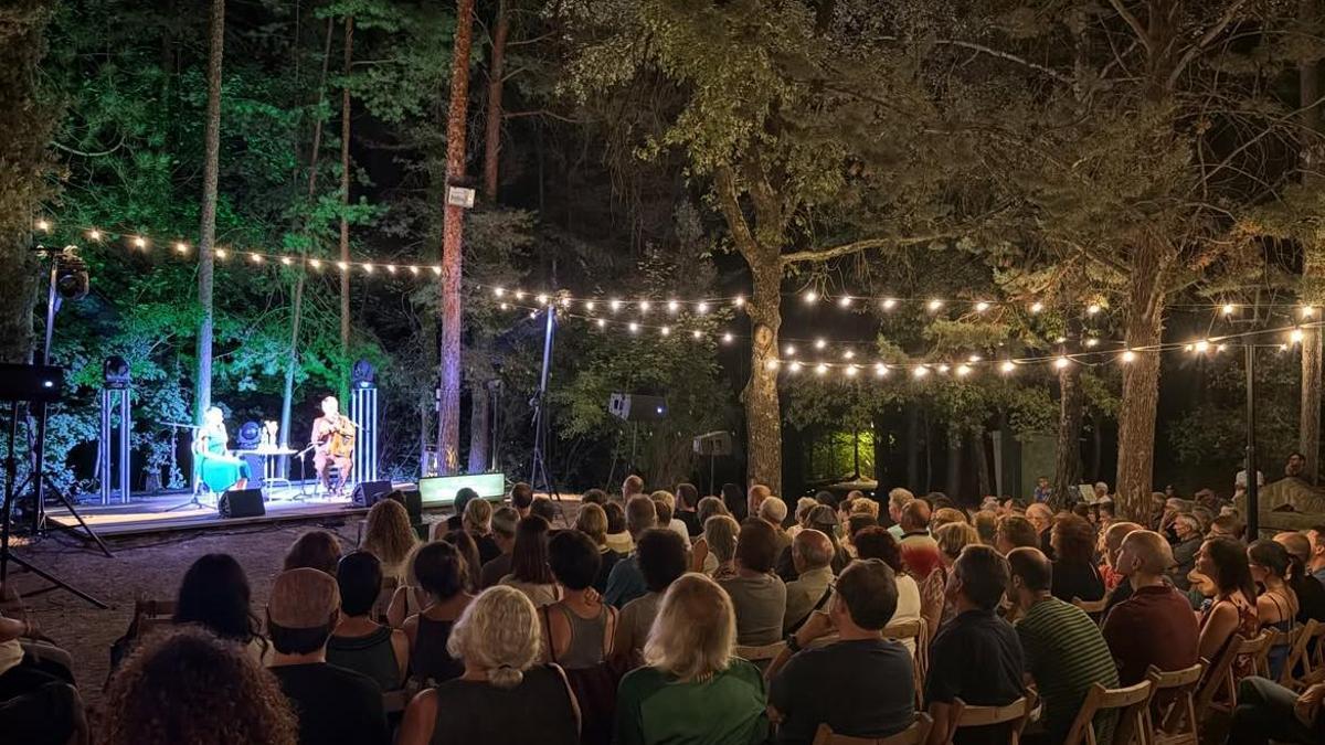 Una de les actuacions al Parc dels Pins del Metge de l’edició del festival de l’any passat